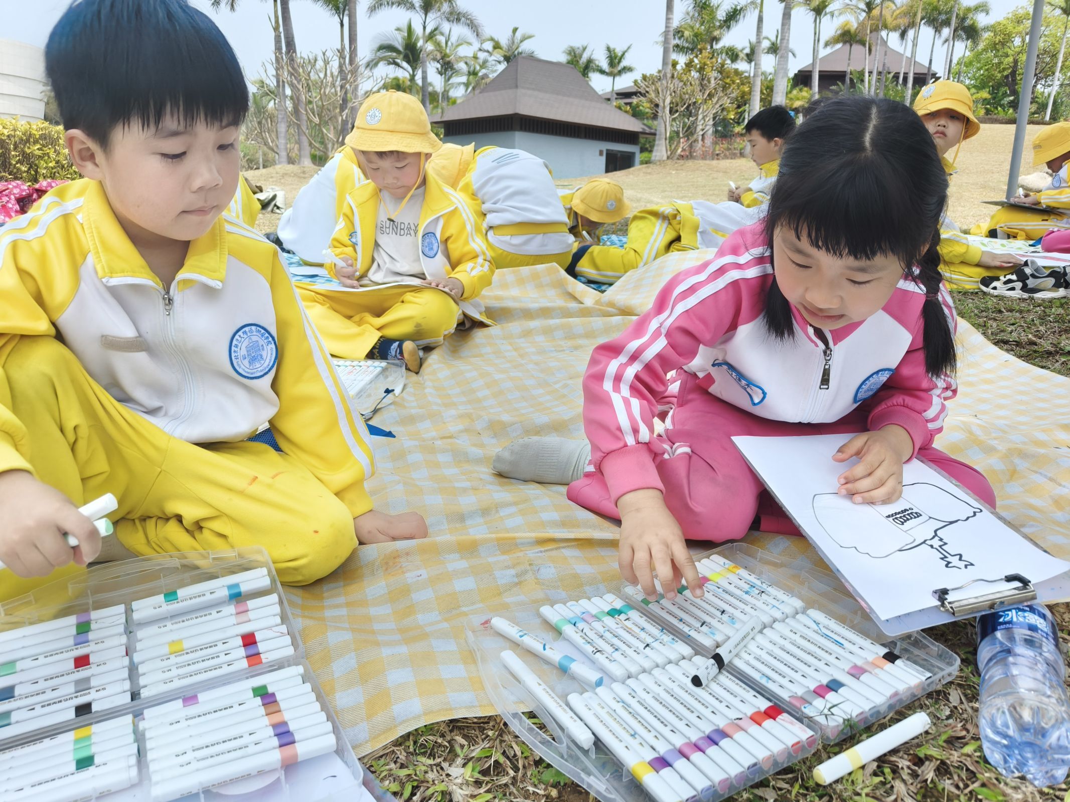 1750212666197428.jpeg 1750212666197428.jpeg