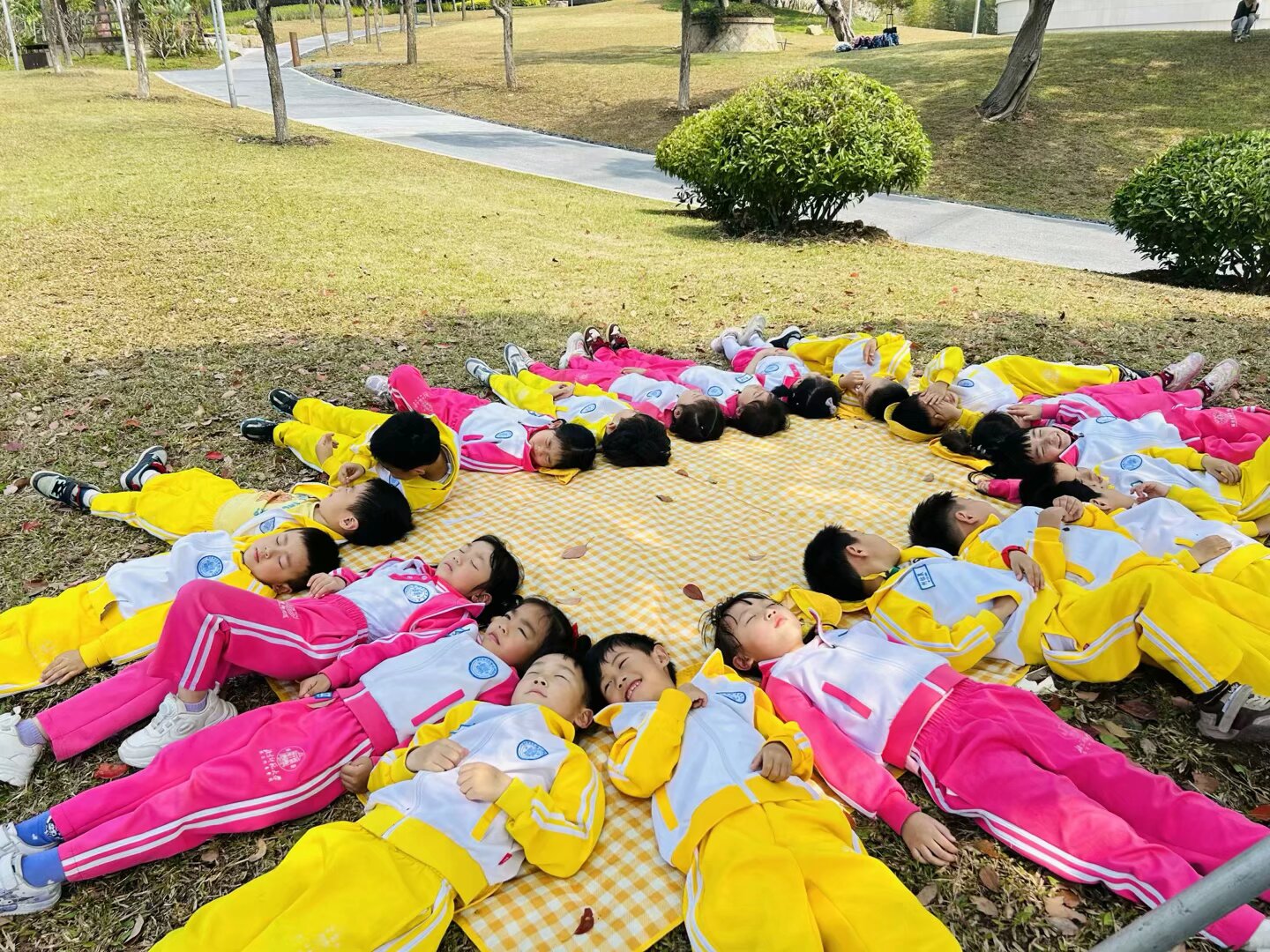 1750212672834207.jpeg 1750212672834207.jpeg